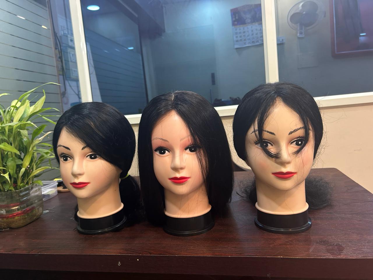 Collection 6